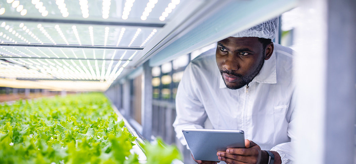 Photo of man inspecting micro greens under artificial light