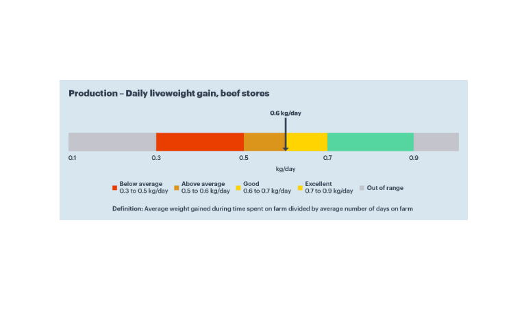 image showing production - daily liveweight gain, beef stores