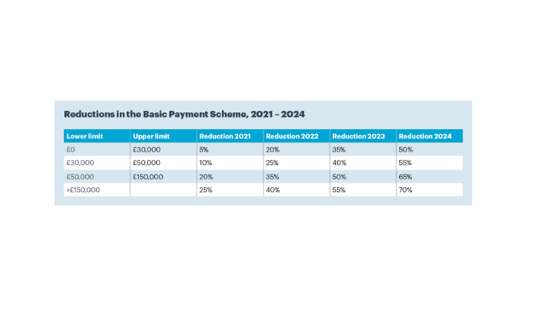 table showing reductions in the basic payment scheme