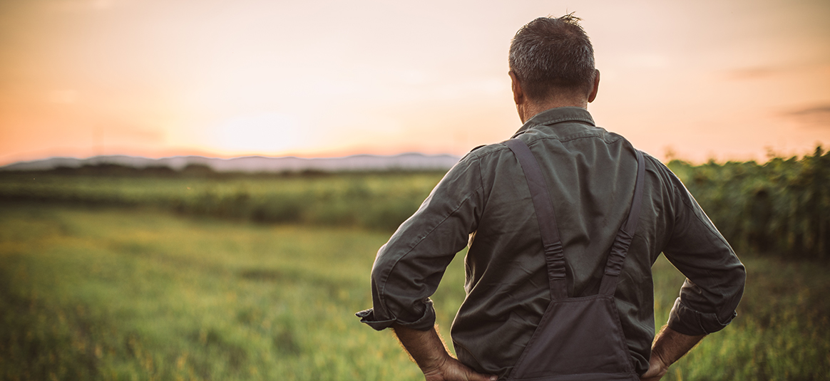 Photo of a farmer looking out to his fields