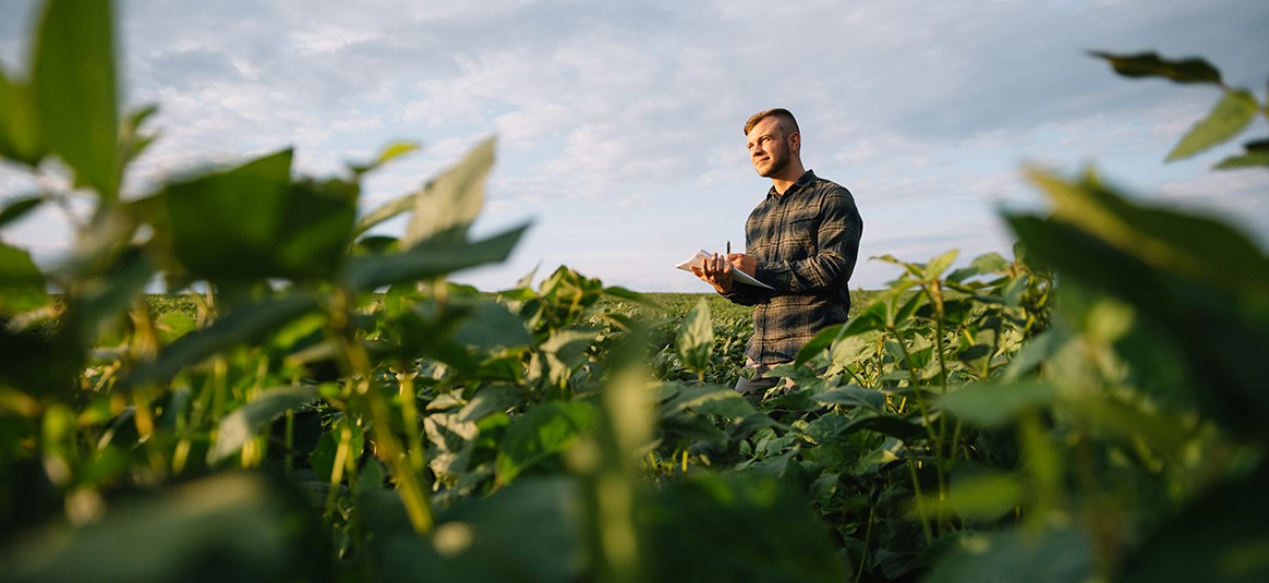 Farmer standing in a field taking notes