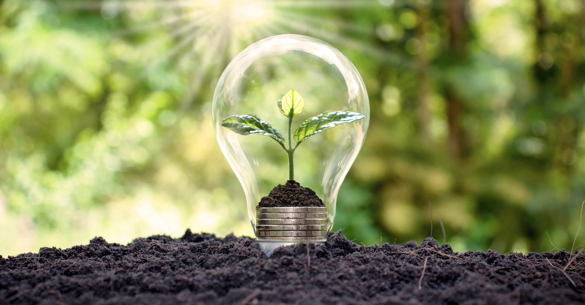 Plant growing out of coins in a glass light bulb