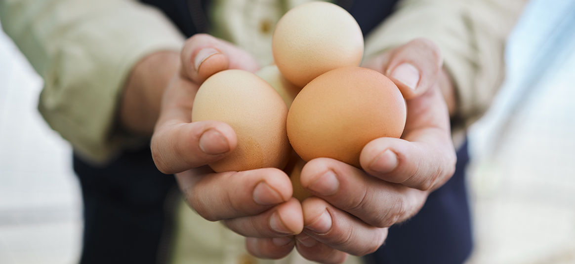 Person holding 3 eggs