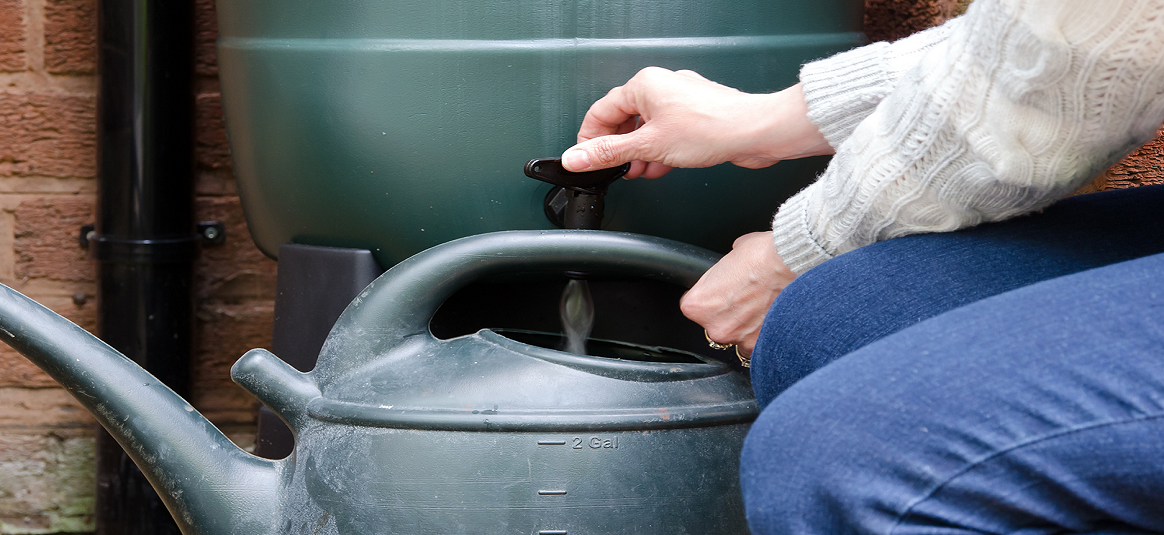 someone filling a watering can from a water butt